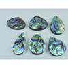 242Cts. Natural Abalone Shell Pear Shape Cabochon Loose Gemstone 06Pcs Lot C-1838
