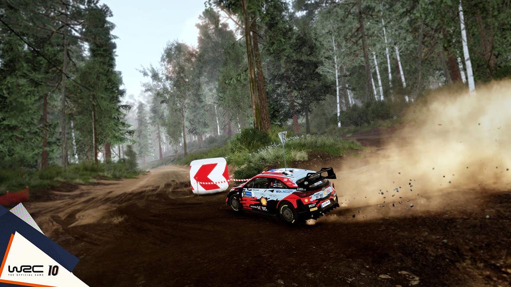 WRC 10 North PS4 (Import Version America) -