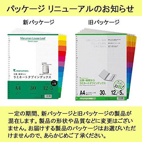 Maruman LT3012F Index A4 Wide, 30 Holes (Compatibl