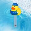Waterproof Floating Swimming Pool Thermometer Scale Accurate Readings Thermometer for Swimming Pool Spas Hot Tubs Aquariums