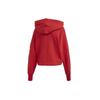 adidas Originals Trefoil Sweatshirts Women's Hooded Moderate Regular FS1313
