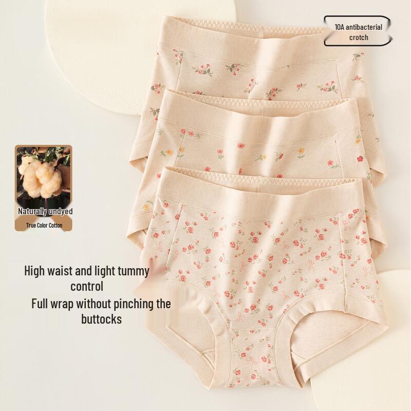 DingGuagua Women's High-Waist Cotton Antibacterial Floral Print Briefs 3-Pack