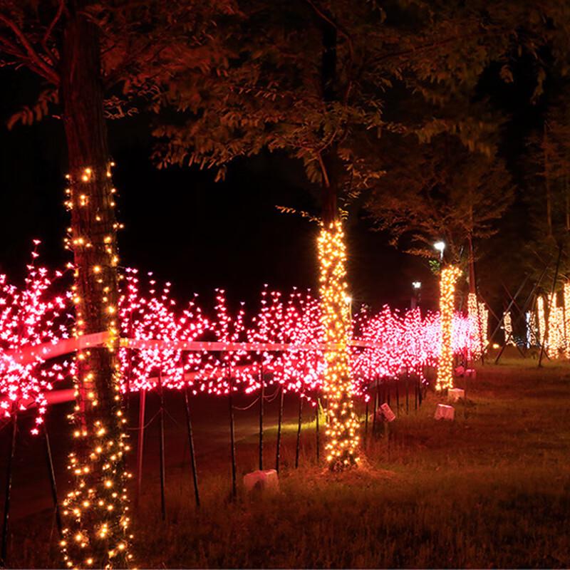 Decorative LED String Lights