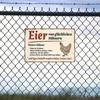 Vintage German Metal Wall Sign, Rustic Farmhouse Chicken & Egg Iron Plaque, 8x12 Inch Kitchen Garden Decor