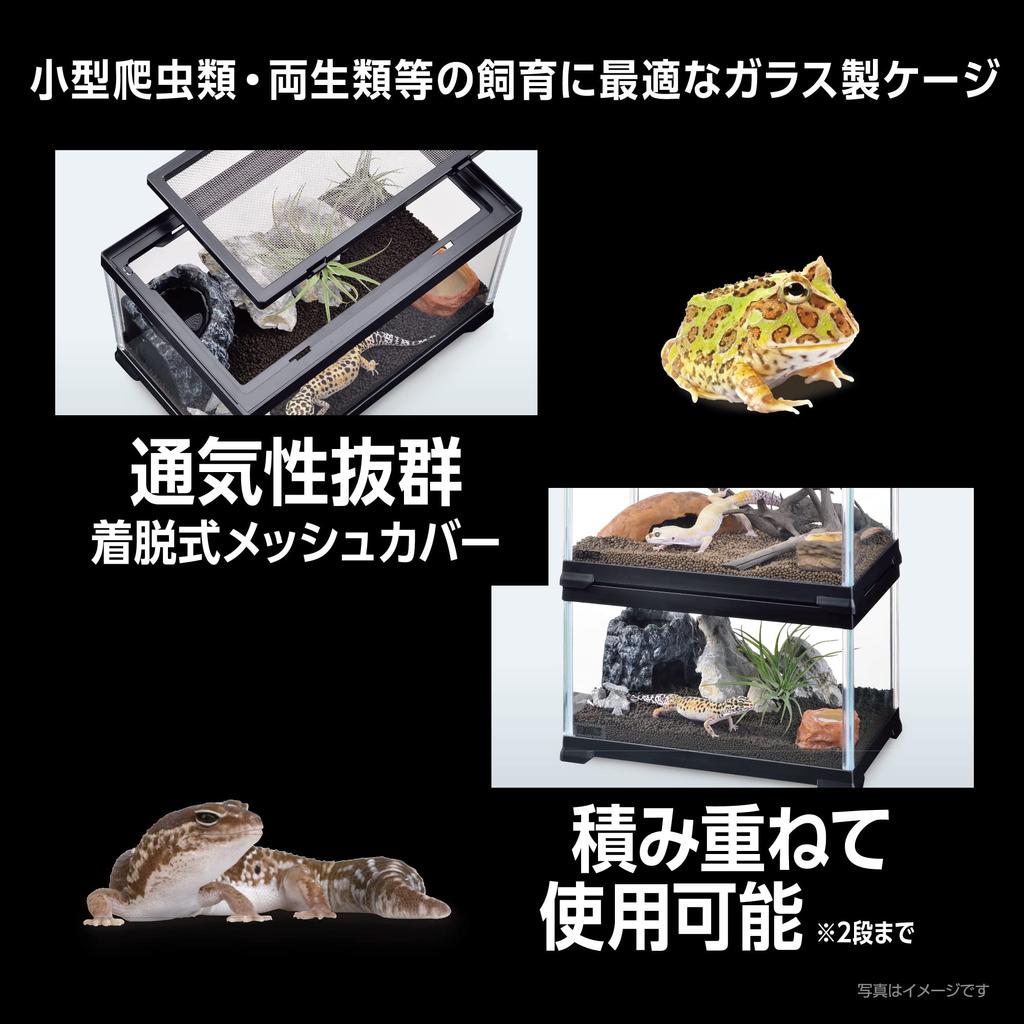 EXOTERRA GEX EXOTERRA Reptile Black 300High Small Reptile Glass Cage Black Frame X D20 X Breeding Cage W31.6 H28.2cm Reptile/Amphibian