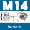 304 Stainless Steel Decorative Cap Nut with Integrated Ball Head DIN1587