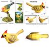 Wildlife Sparrows Mountain Sparrows Toy With Static Bird Figure For Childrens Education And Collectible Gift