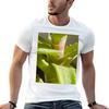 Starry Plant (5) T-Shirt Funny T Shirts Man T Shirt Print Essential T Shirt T-shirt