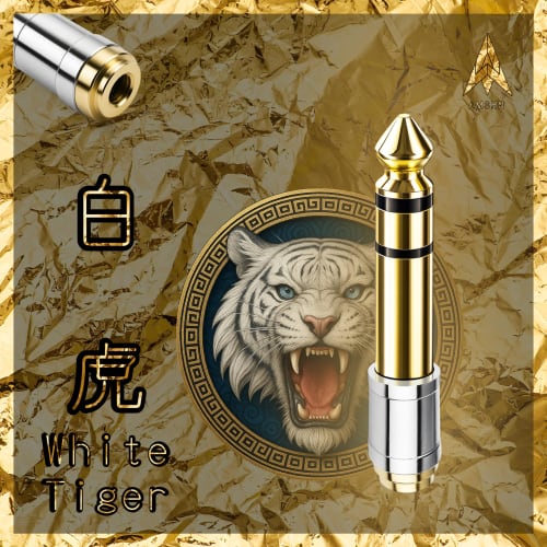 Amshn Headphone Adapter, 3.5mm Stereo Mini Plug To 6.35mm Standard Jack, Female To Male, for Digital Piano and Headphones, 24K Thick Gold Plated, 1-Pa