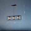 Hanging Ceiling Lamp for Living Room Dining Room 3 Glass Shades