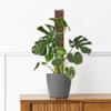4pcs Moss Poles Vertical Growth Climbing Sticks Monstera Plant Support For Balconies Terraces Indoor Outdoor Yards Porches