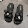 Thick-bottomed Soft-bottomed Cool Slippers Female Outer Wear Fairy Wind 2025 New Summer Internet Celebrity Fashion Versatile Muffin Slippers