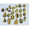 315Cts. Natural Tiger Eye Mix Cabochon Loose Gemstone 23Pcs Lot 14-28 MM C-736