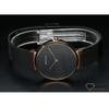 Bering 14531-166 Watch