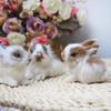 Lovely Simulation Animal Doll Rabbit Plush Sleeping Stuffed Kids Toy Lifelike Animal Pet Toys For Children Home Decor Baby Gifts