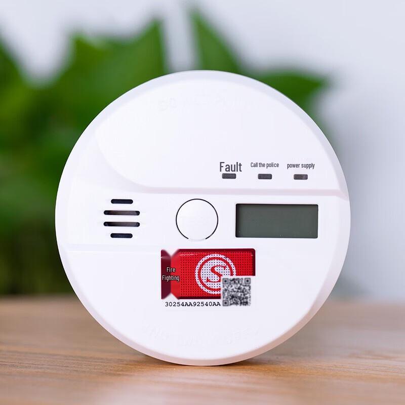 Carbon Monoxide & Gas Leak Detector