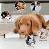 Interactive Giggles Dog Toys Funny Cigarettes Dog Toy Squeaky Cigar Pet Toys