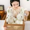 Cute Polka Dot Bunny Plush Toy With Pp Cotton Filling For Girls And Kids Gift