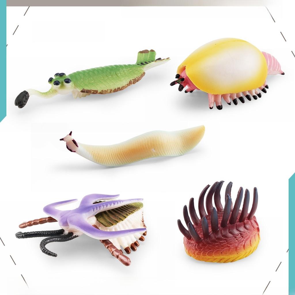 Viviparous Marine Creature Figurines Pvc Collection For Classroom Decor And Science Enthusiasts