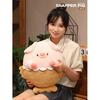 Snapper Pig Doll Piglet Doll Plush Toy Pillow Girl Sleeping Bed Mermaid Birthday Gift