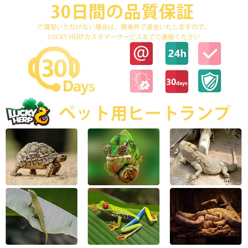 LUCKY HERP New Upgraded 50W Reptile Heat Bulbs with Coating Basking Spotlight with UVA and Heat Ideal for Bearded and Lizards Explosion-Proof (3rd