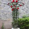 Umbrella-Shaped Wrought Iron Climbing Frame for Roses & Clematis - Outdoor Balcony & Courtyard Flower Stand