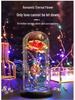 LED Rosegold Folie Konservierte Blume Glaskuppel - Kreatives Geschenk für Valentinstag & Frauentag