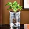 1PC Fish Tank Hydroponic Flower Pot Soilless Plant Pot Hydroponic Vase Vase Planter Pot Plastic