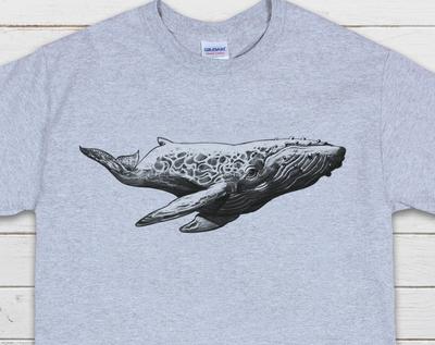 Pencil Drawing Humpback Whale T-Shirt, Traditional Art Design