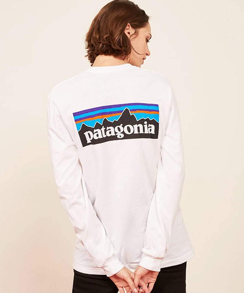 Patagonia Long Sleeve Regular Gray Size L Men's T-Shirt, Fit, Heather, [Used]