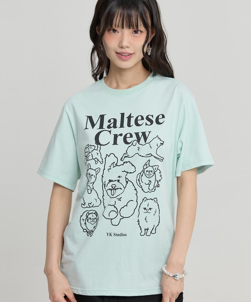 WAIKEI Maltese Crew Line Graphic Short Sleeve T-Shirt Mint