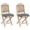 VidaXL Set of 2 Folding Garden Chairs with Cushions, Patio Seats, Dining Chairs, Patio Furniture 3064003
