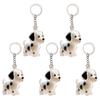 Dog Hair Storage Bottle Pet Memorial Keychain Transparent Hair Locket