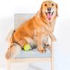 Pet Chew Toy Sweetsop Shape Built-in Sounds Interactive Natural Rubber Dog Chew Toy Concave-Convex Particles Relieve Boredom Energy Pet
