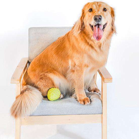 Pet Chew Toy Sweetsop Shape Built-in Sounds Interactive Natural Rubber Dog Chew Toy Concave-Convex Particles Relieve Boredom Energy Pet