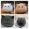 Soft And Cuddly Black Cat Plush Toy For Kids Super Cute And Adorable!
