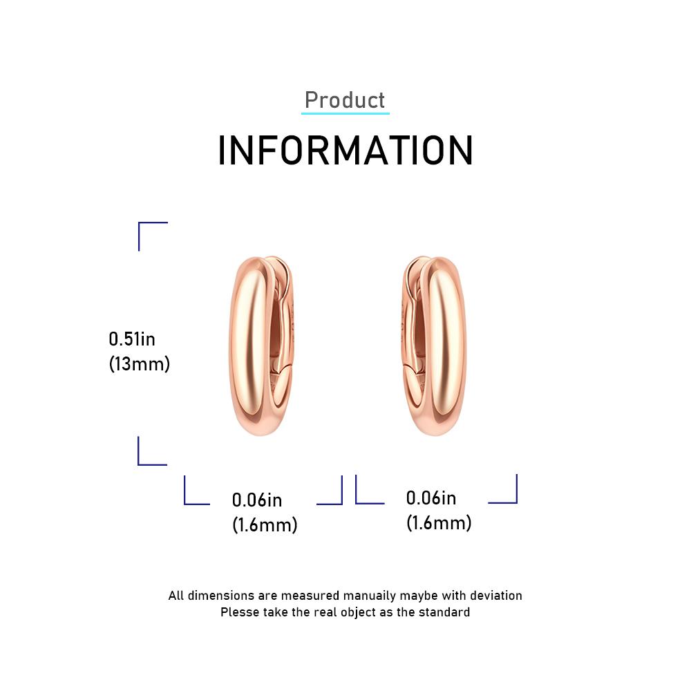 Fine Rose Gold Round Hoop Earrings for Women Trendy Styles Genuine Copper Color Simple Gold Earrings Fashion Weddings Zircon