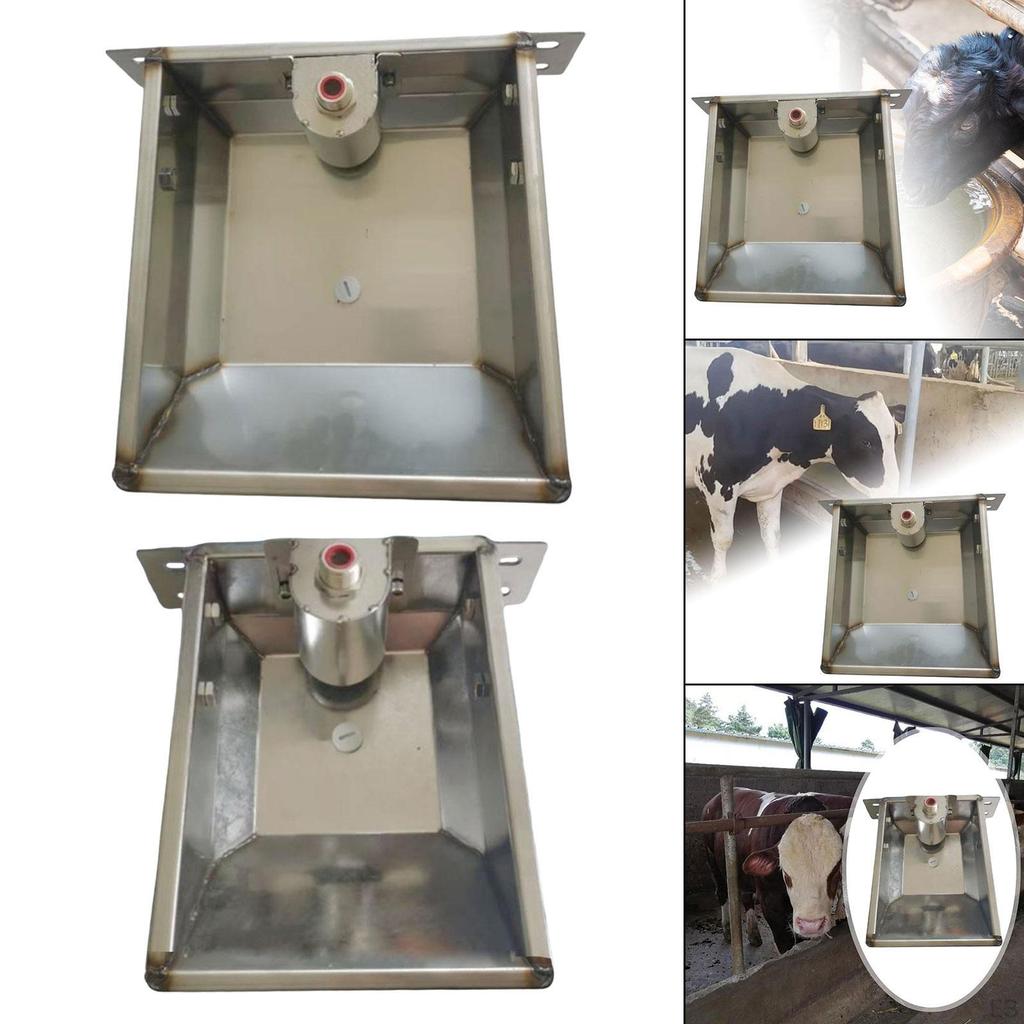 Automatic Cattle Waterer, Stainless Steel, Large Capacity, Feed, Animal Waterer