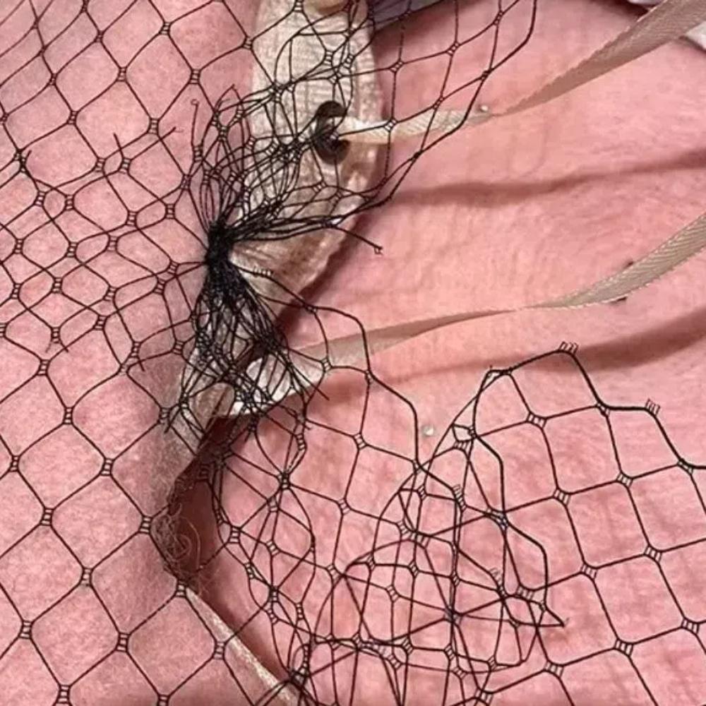 Pearl Painter Hat with Mesh Veil Beanie Caps Luxury Wool Beret for Women  for Autumn and Winter