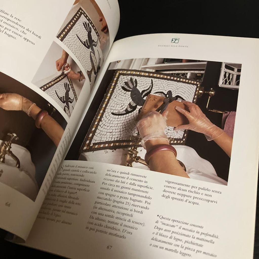 [USED] Italian version Mosaic art design collection MOSAICI