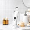 Insidy Aqua Peeling Machine, Water Peeling Machine, Vibrating Cleanser, Galvanic Facial Massager, Skin Removal Device ISF-20