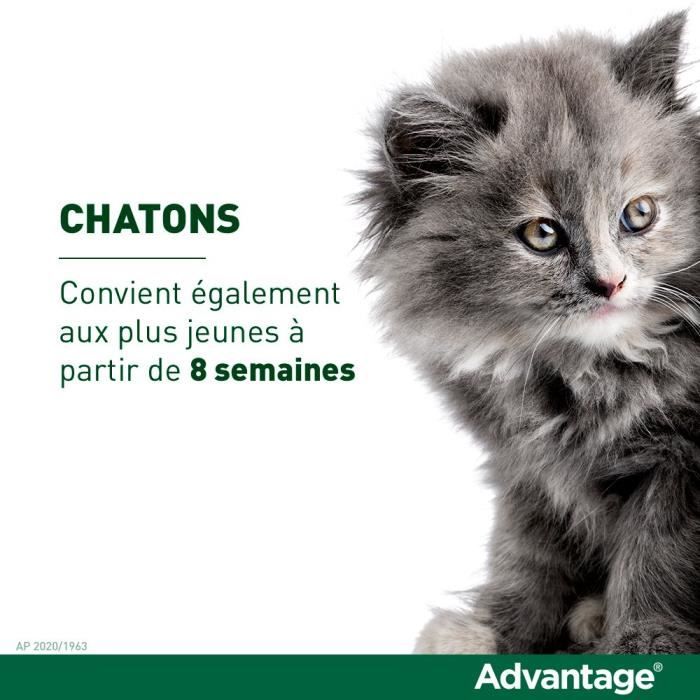 ADVANTAGE Solution Antipuce Chat Lapin +4kg 6 Pipettes