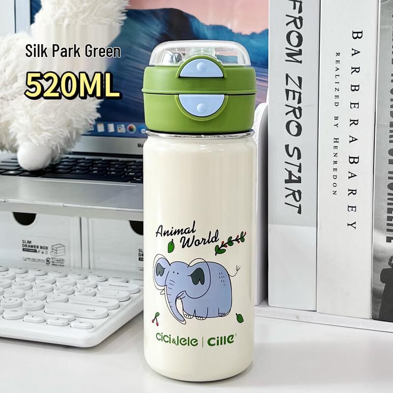 Cille Dual-Drink Insulated Straw Water Bottle 520ml