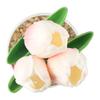 Kleiner Blumentopf Künstliche Blumen Tulpe im Topf Fake Plants Baum im Topf Haus Büro Schreibtisch Ornament Für Hochzeit Party Dekoration