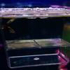 Self-floating Fry Box Double Hatchling Box Guppy Disease Fish Isolation Box Betta Fish Box Propagator