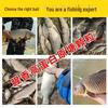 High Protein Black Pit Granular Bait for Wild Crucian Carp and Reservoir Fishing