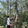 Aokedu Multi-functional Pole Chainsaw & Pruner