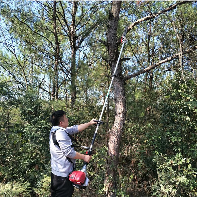 Aokedu Multi-functional Pole Chainsaw & Pruner