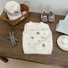 Early Spring Baby Korean Stacked Vest Spring And Autumn Handsome Baby Boy Fashion Knitted Vest Children'S Clothes