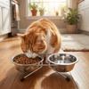Anti-leak Stainless Steel Pet Bowl Durable Elevated Pet Feeder Pet Drinking Bowl For Cats Dogs